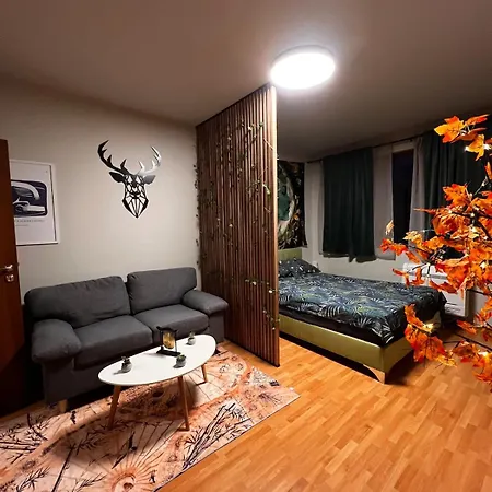 公寓 Near The Lift With A Private Parking 班斯科