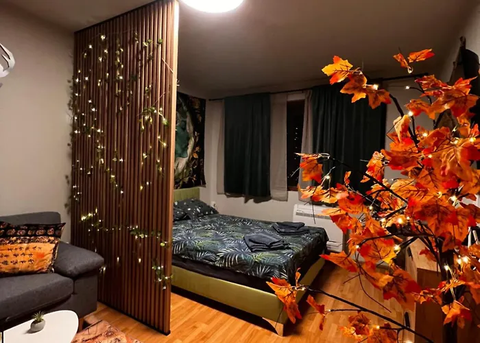 Near The Lift With A Private Parking Apartament *